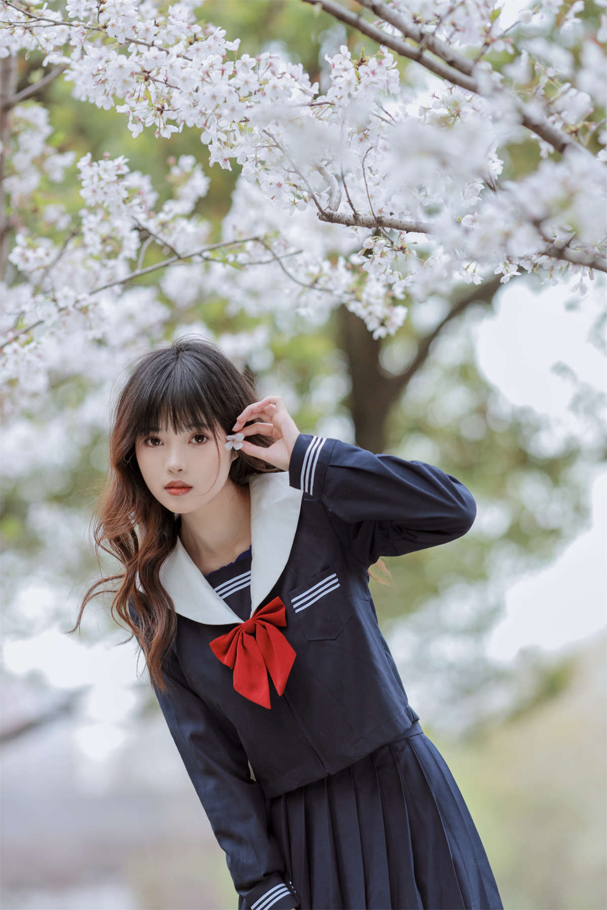 YITUYU艺图语 2024.02.23 樱花树下 小薇人儿插图1