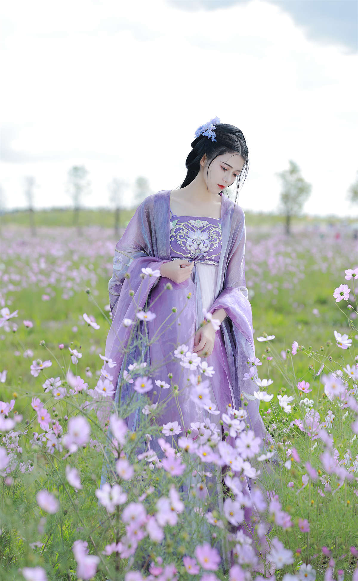 YITUYU艺图语 2023.01.14 春风拂槛露华浓 吾岁插图1