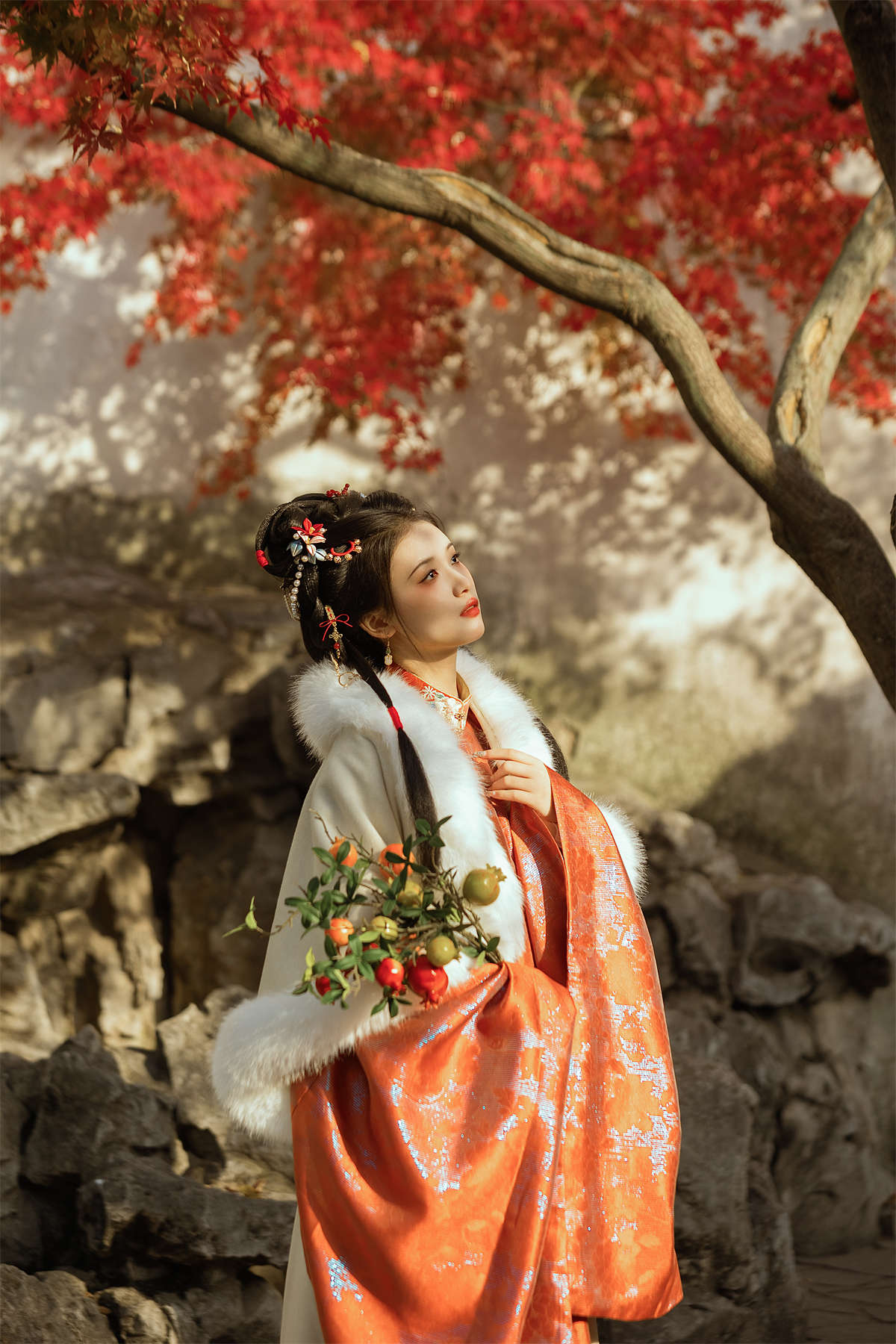 YITUYU艺图语 2024.02.25 庭院红叶 婕妤插图1