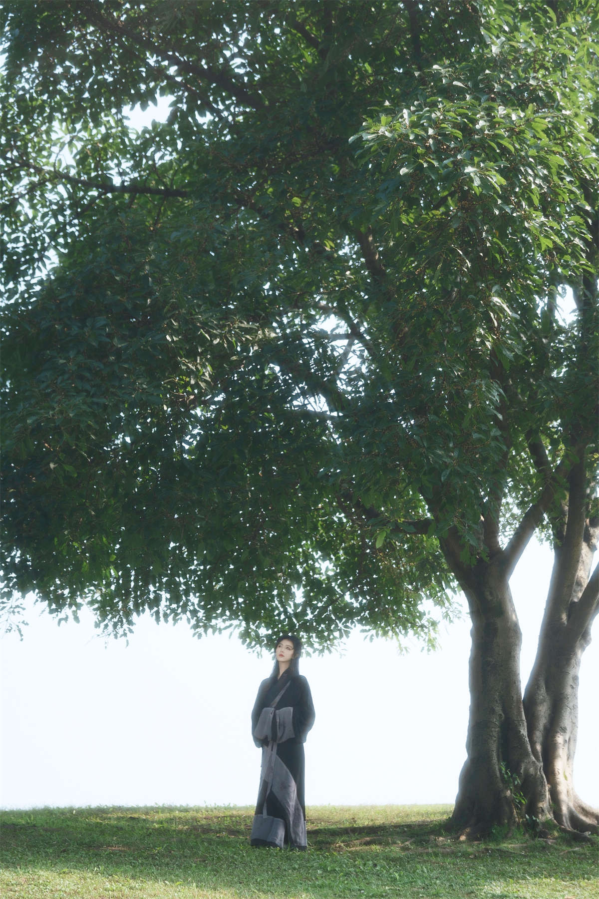 YITUYU艺图语 2024.03.03 长相思 岑宿插图1