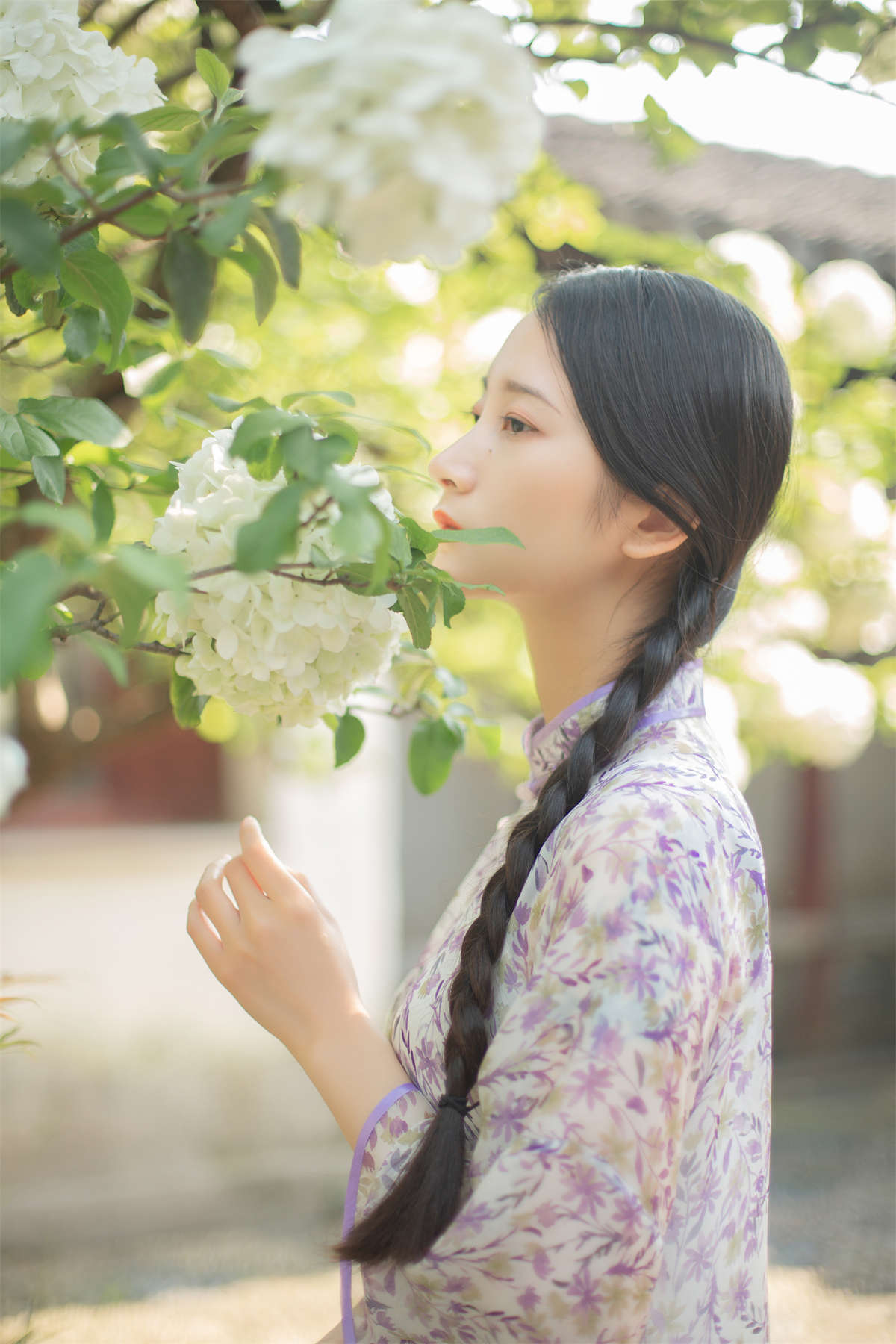 图片[2]-YITUYU艺图语 2022.03.24 穆穆清风至 五月的三花猫-日更街拍