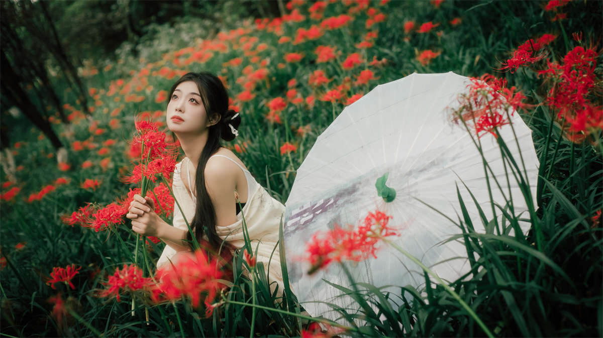 YITUYU艺图语 2024.12.10 曼珠沙华 小小吴插图1