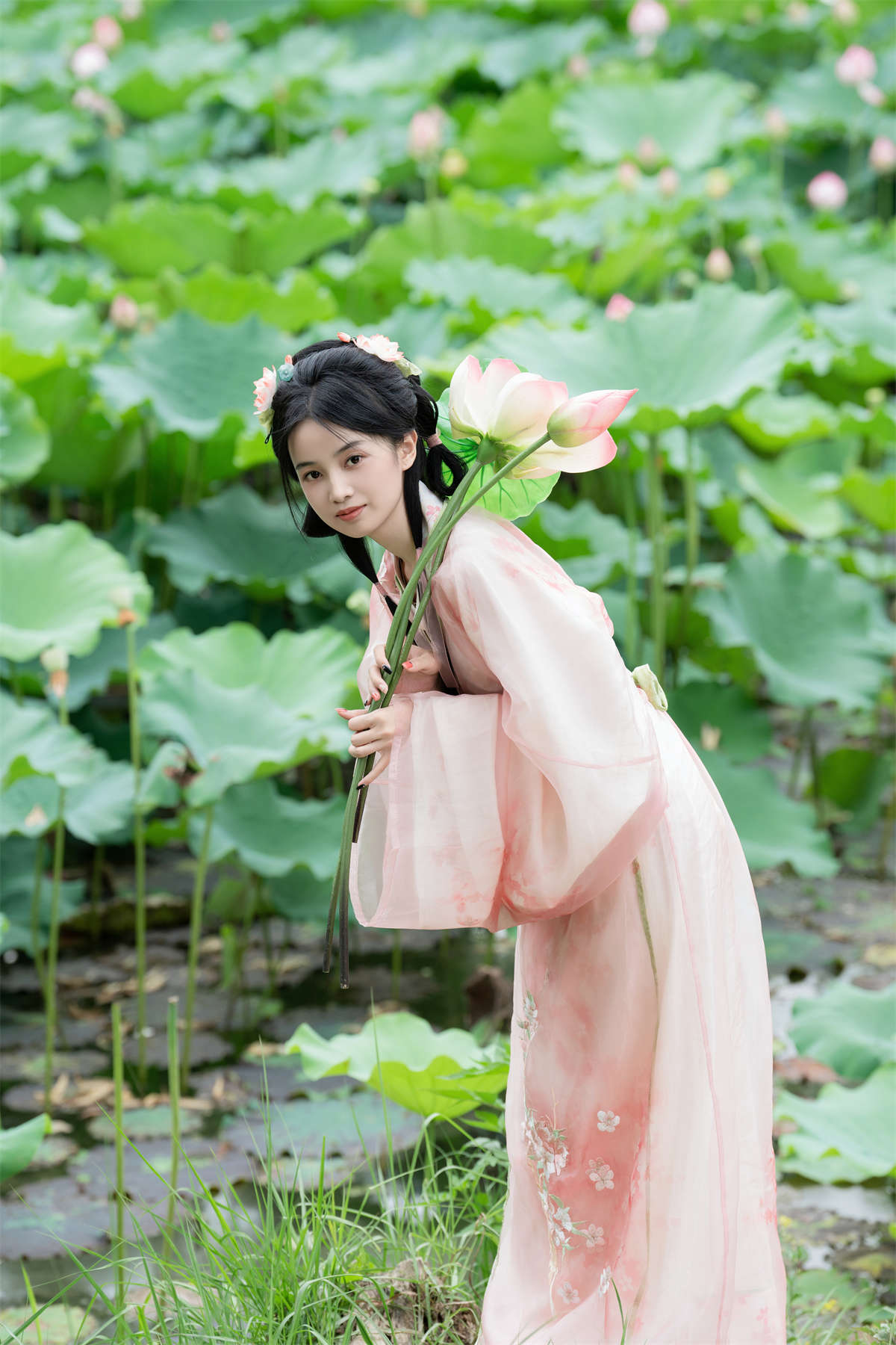 YITUYU艺图语 2024.10.02 接天莲叶无穷碧 spring插图1