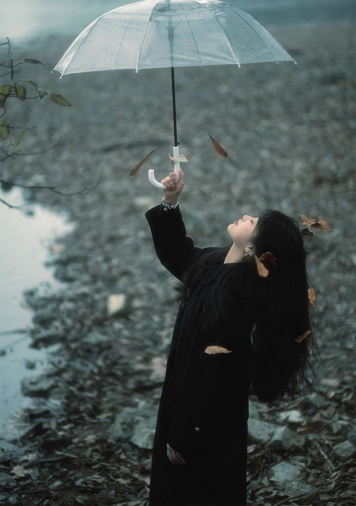 YITUYU艺图语 2023.01.11 蝴蝶飞走了 QQ糖插图1