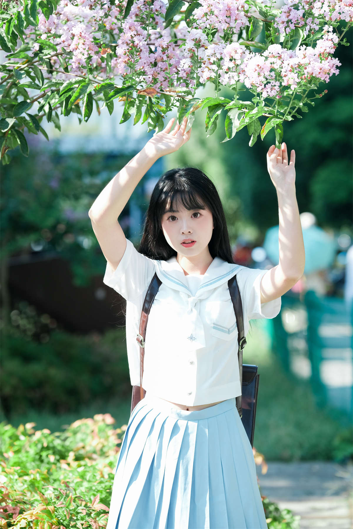 YITUYU艺图语 2024.12.22 那棵树 一只暖暖插图1