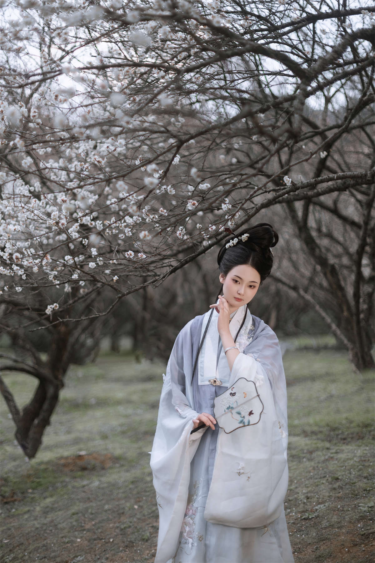 YITUYU艺图语 2024.03.09 问梅 汀贰插图1