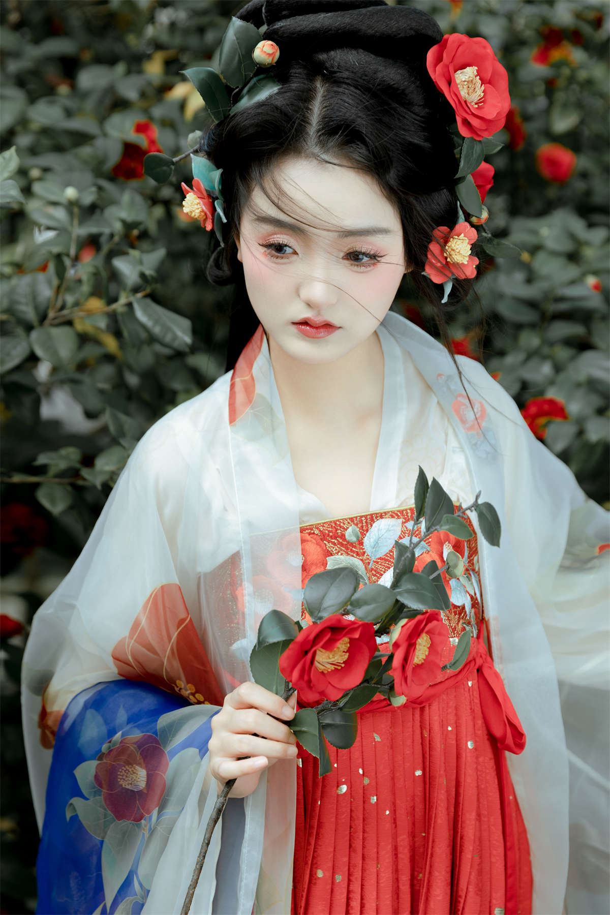 YITUYU艺图语 2024.03.10 红山茶 华丽插图1