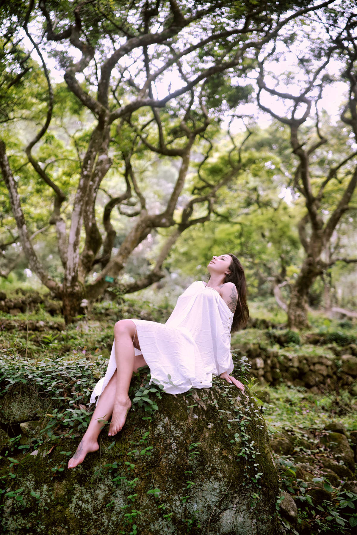 YITUYU艺图语 2024.12.24 树精灵 凯莉插图1