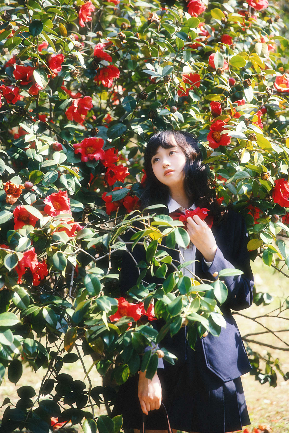 YITUYU艺图语 2023.03.23 山茶花又开 natasha插图1