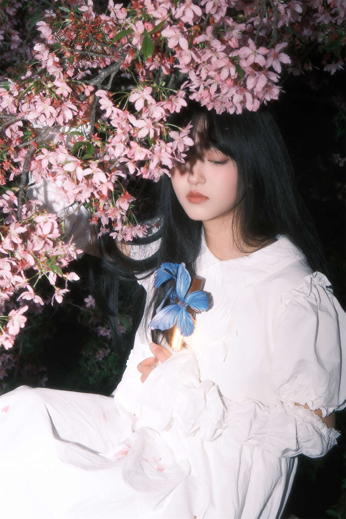 YITUYU艺图语 2024.12.27 葬樱 冷酷王爷插图1