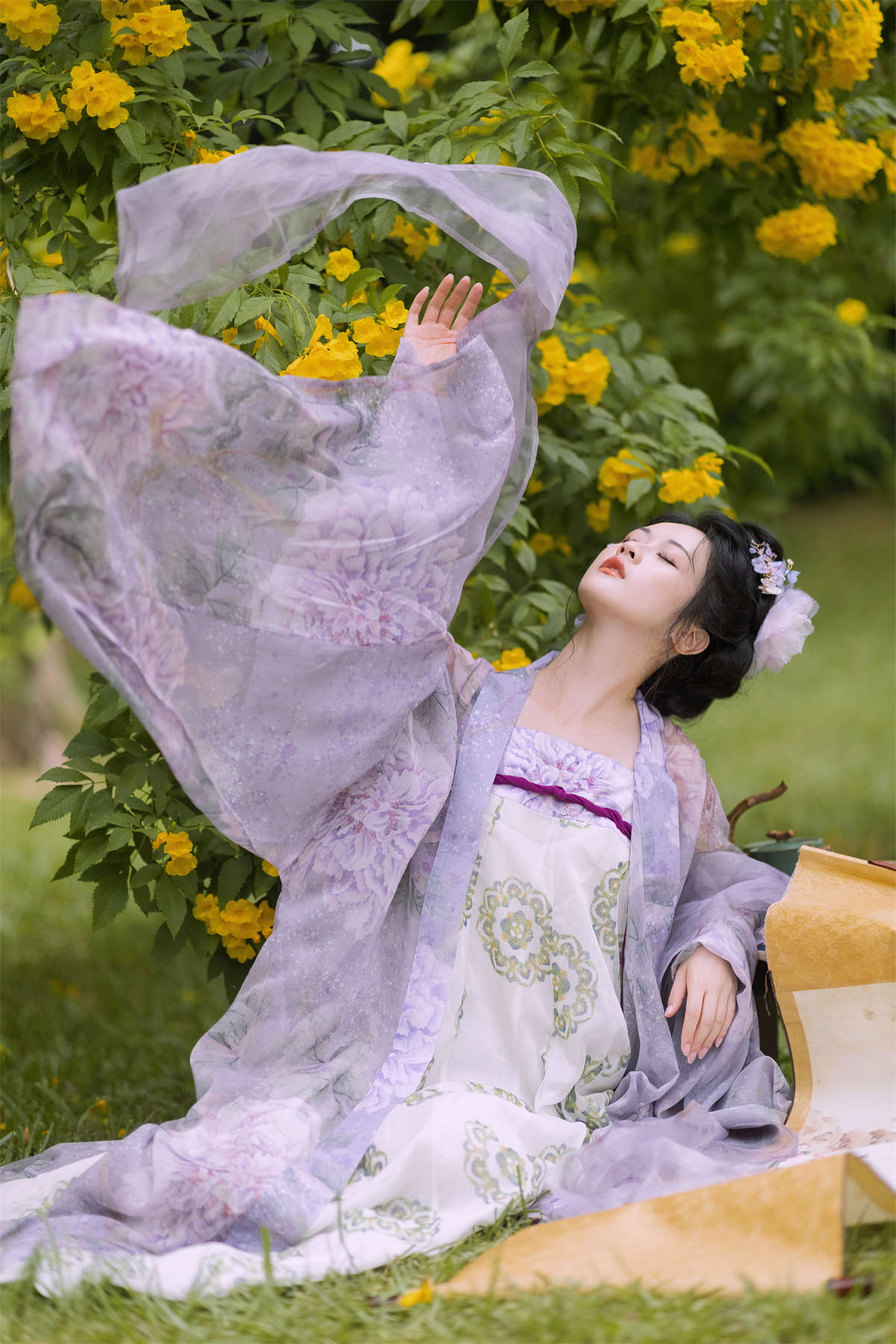 YITUYU艺图语 2024.12.28 晚秋花 神赐杏杏插图1