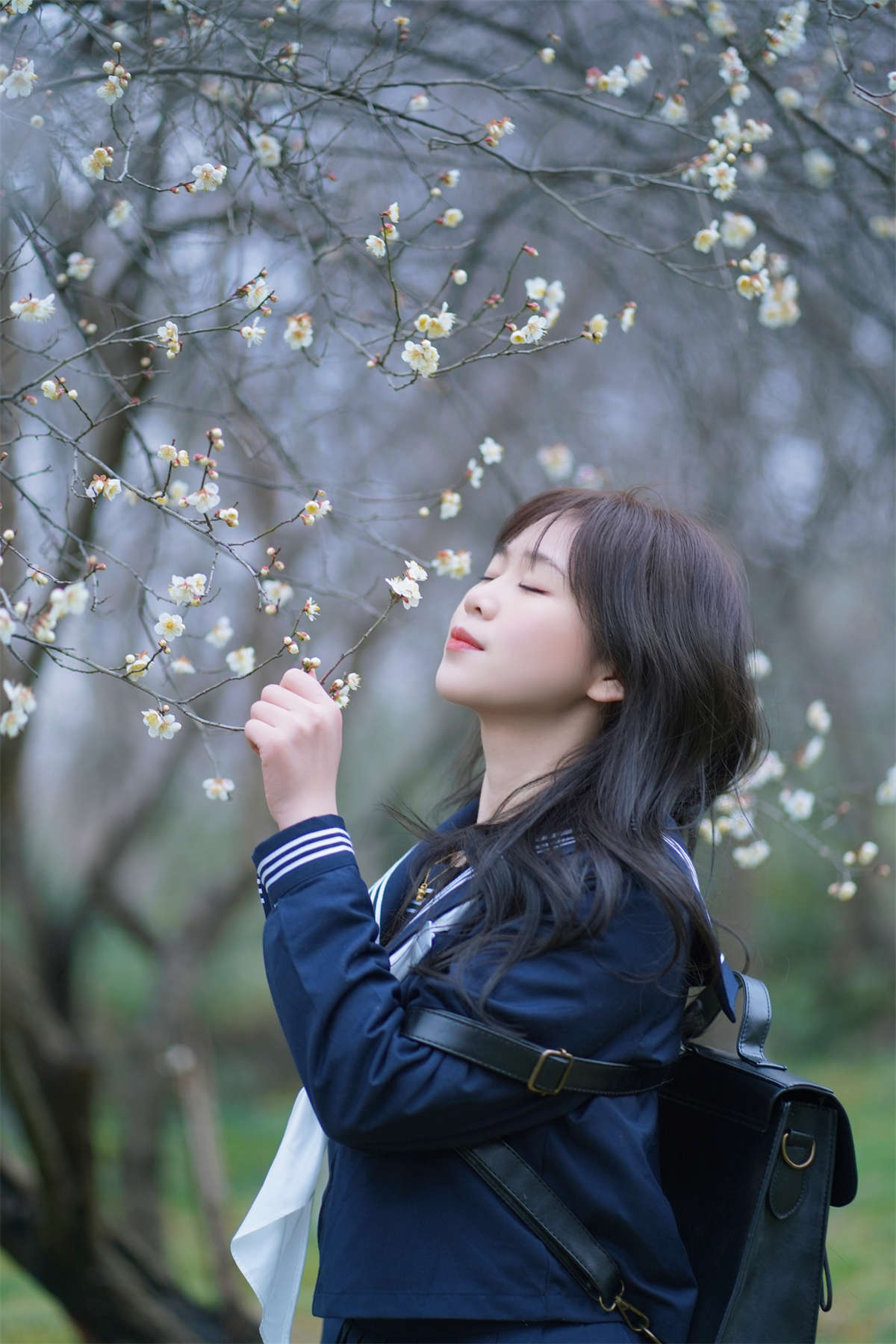 YITUYU艺图语 2024.03.14 梅花树下 泡芙小方插图1