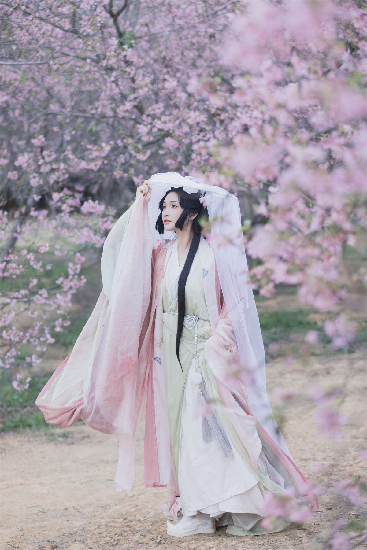 YITUYU艺图语 2024.04.13 落樱 希希插图1