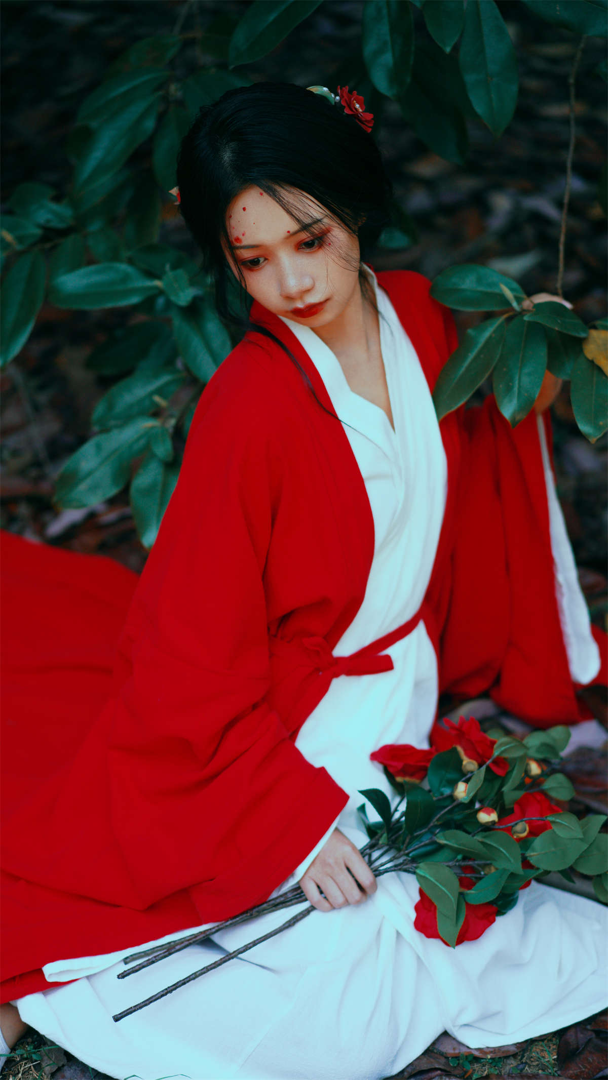 YITUYU艺图语 2022.12.15 山茶花 旺旺小小舒插图1