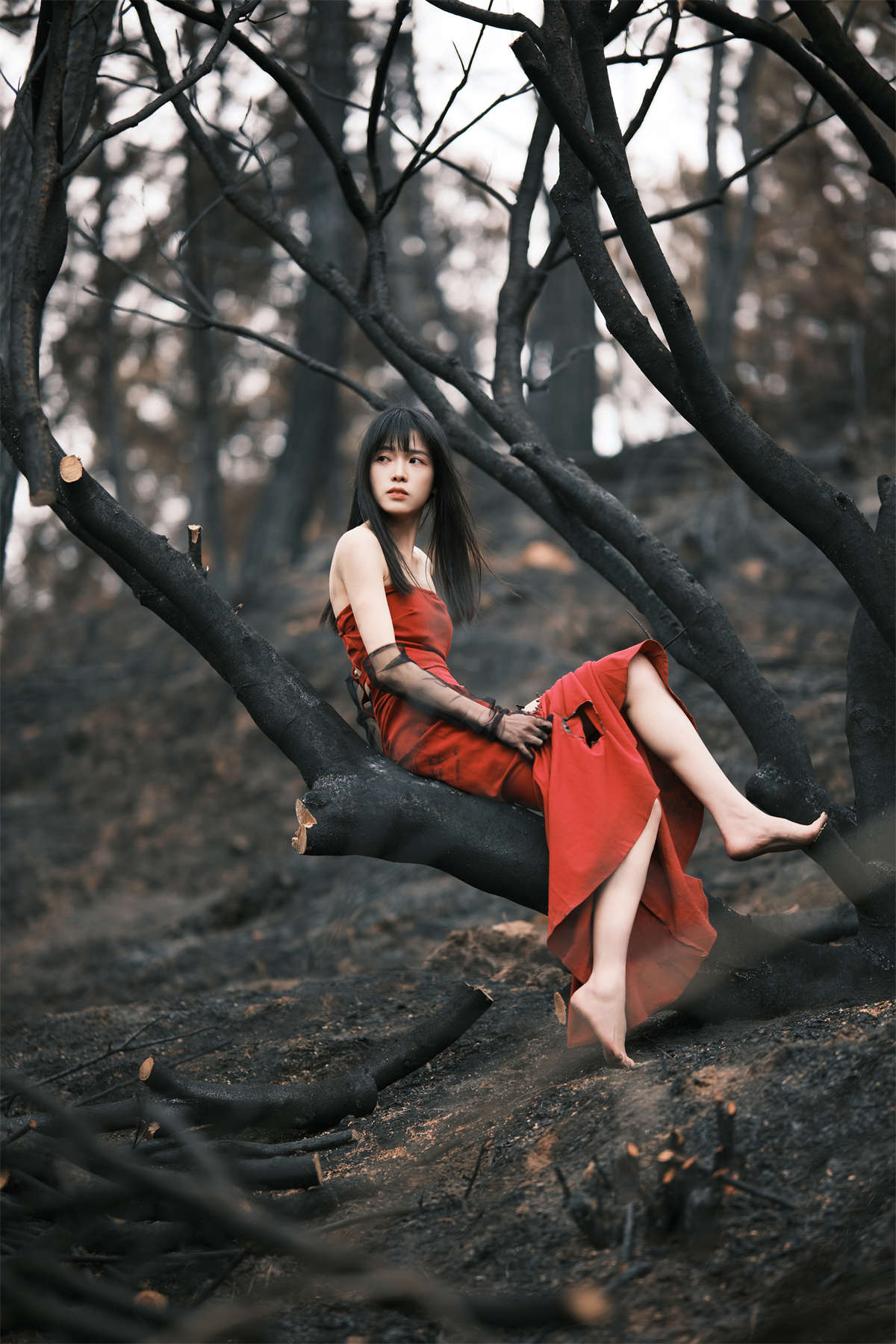 YITUYU艺图语 2024.04.22 山火余烬 小松麻奈插图1