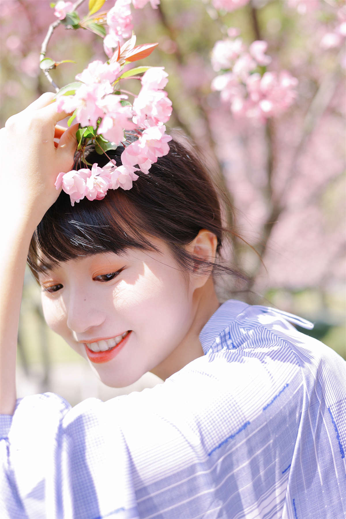 YITUYU艺图语 2023.03.28 海棠花开 蓝胖子插图1