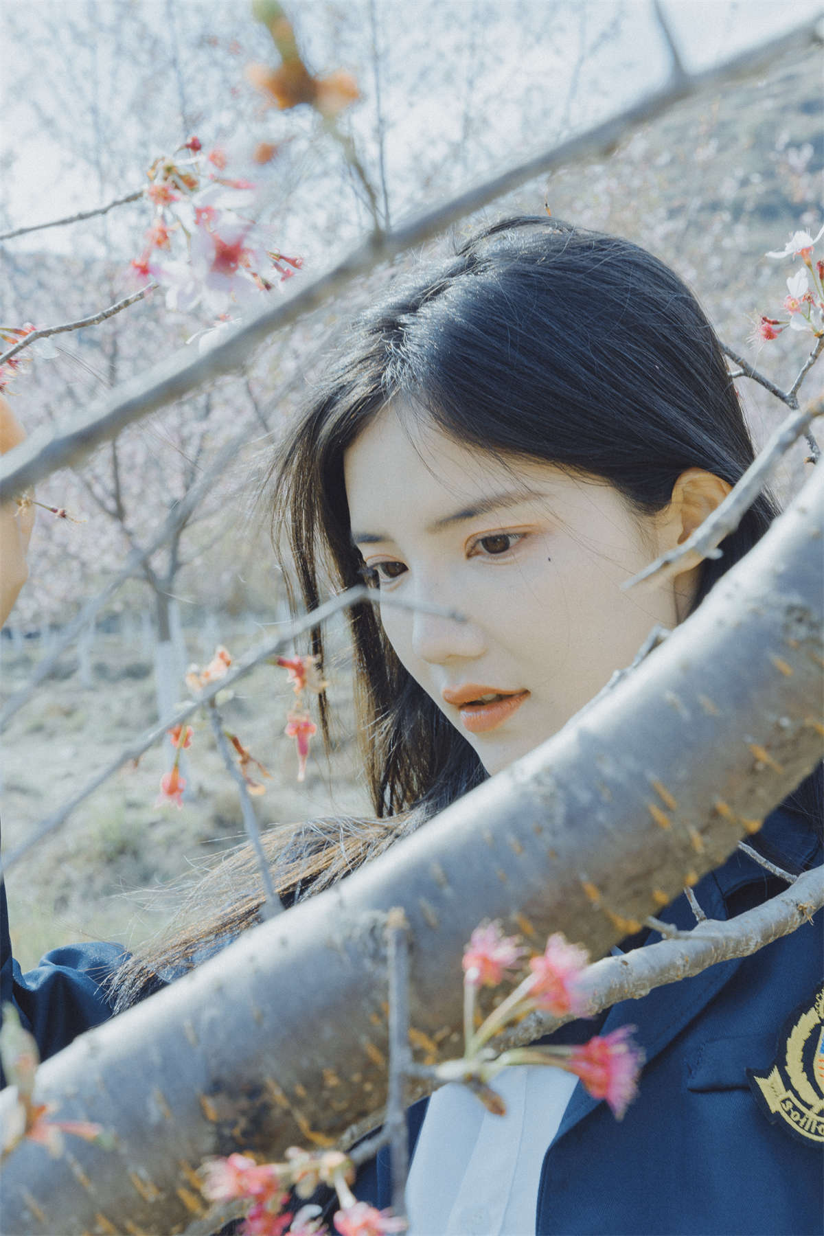 YITUYU艺图语 2024.04.24 樱花已开 颜十一插图1