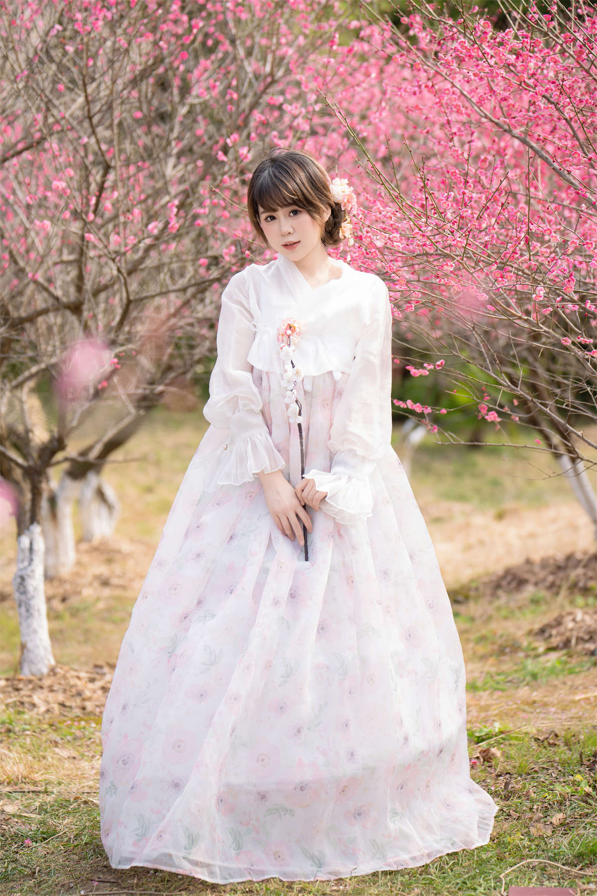 YITUYU艺图语 2024.03.21 春天的气息 泡芙小方插图1