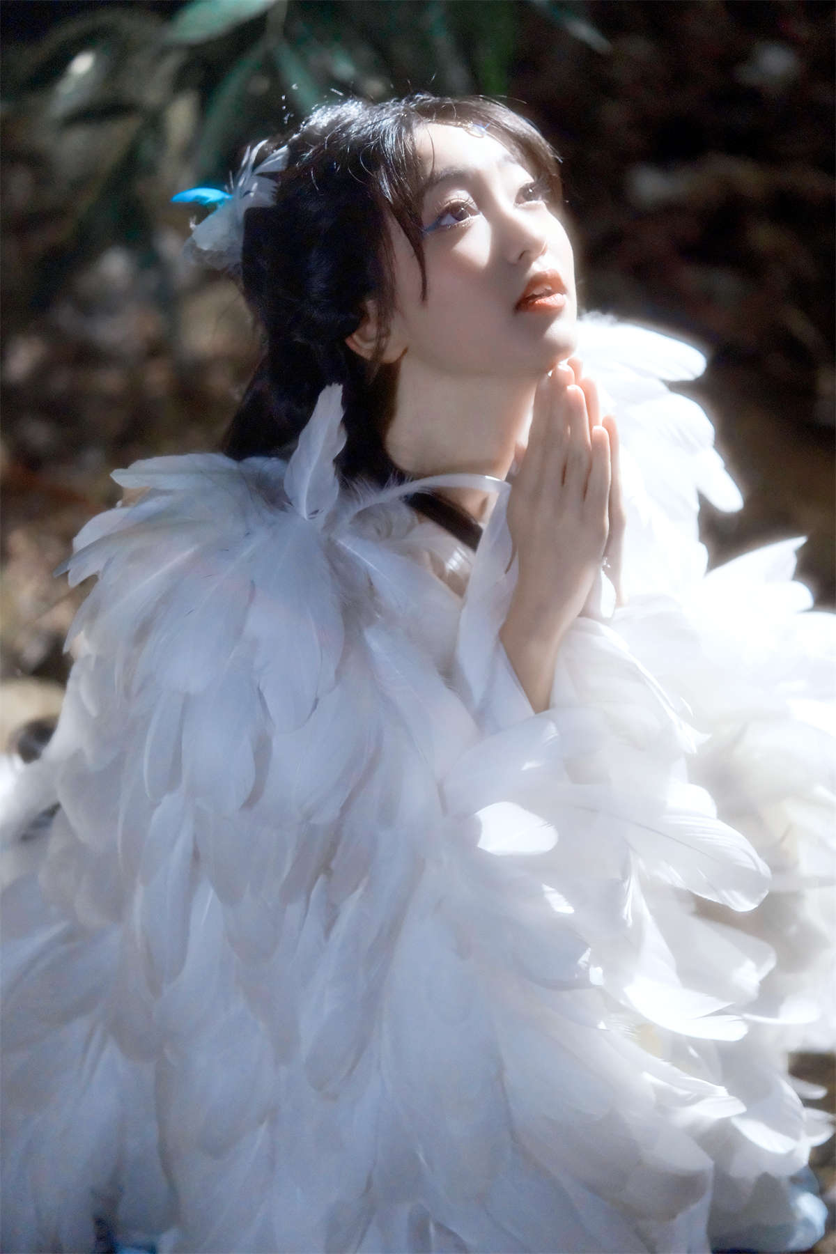 YITUYU艺图语 2024.01.02 林中雀 二两风月插图1