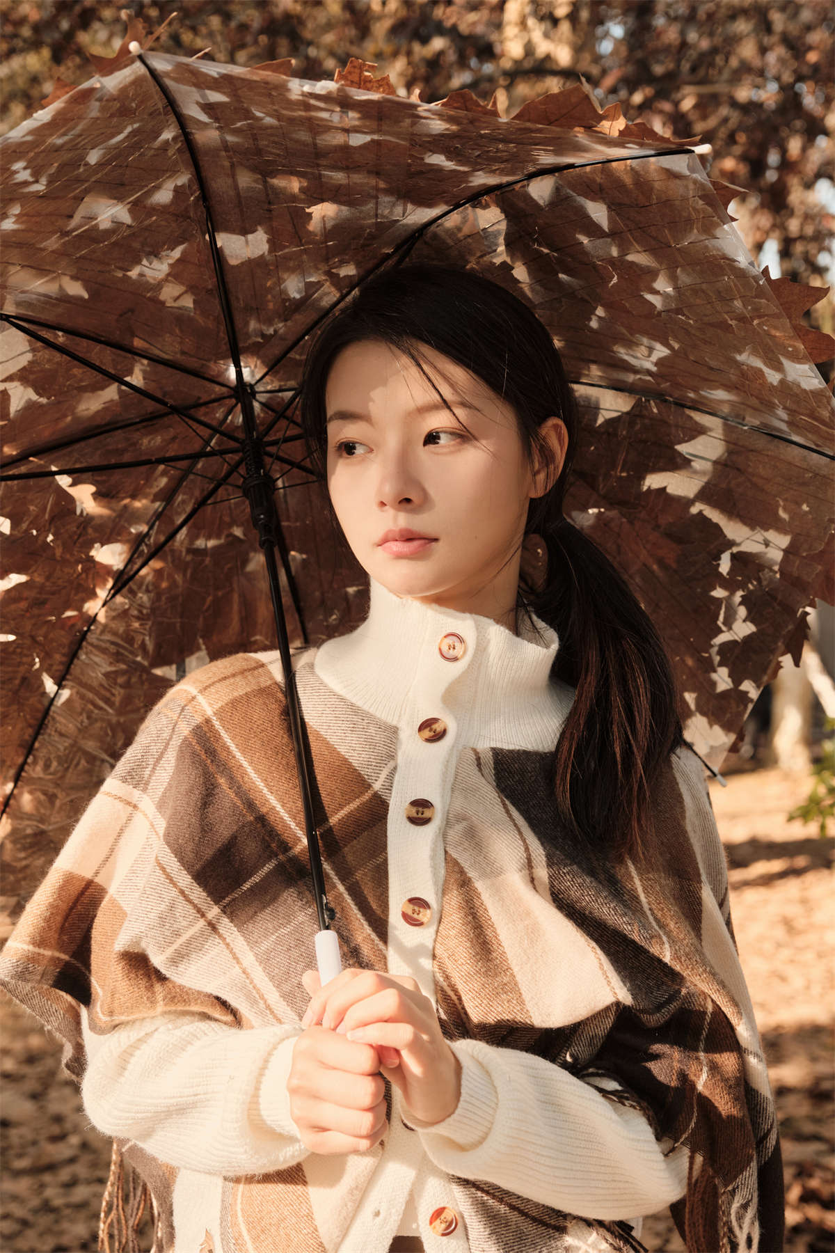 YITUYU艺图语 2025.01.15 秋日落叶 蝴蝶妹妹插图1