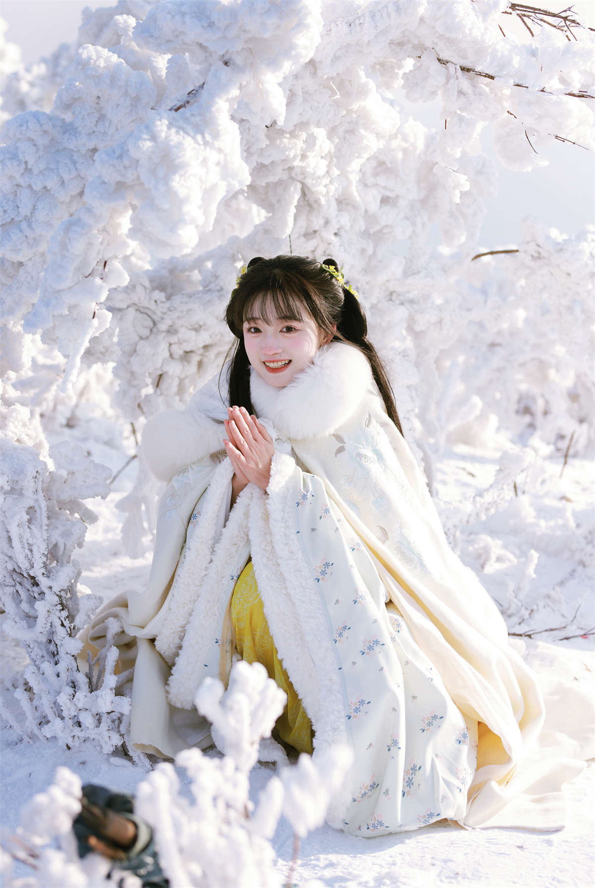 YITUYU艺图语 2024.11.18 风雪千山 有耳阿郁插图1