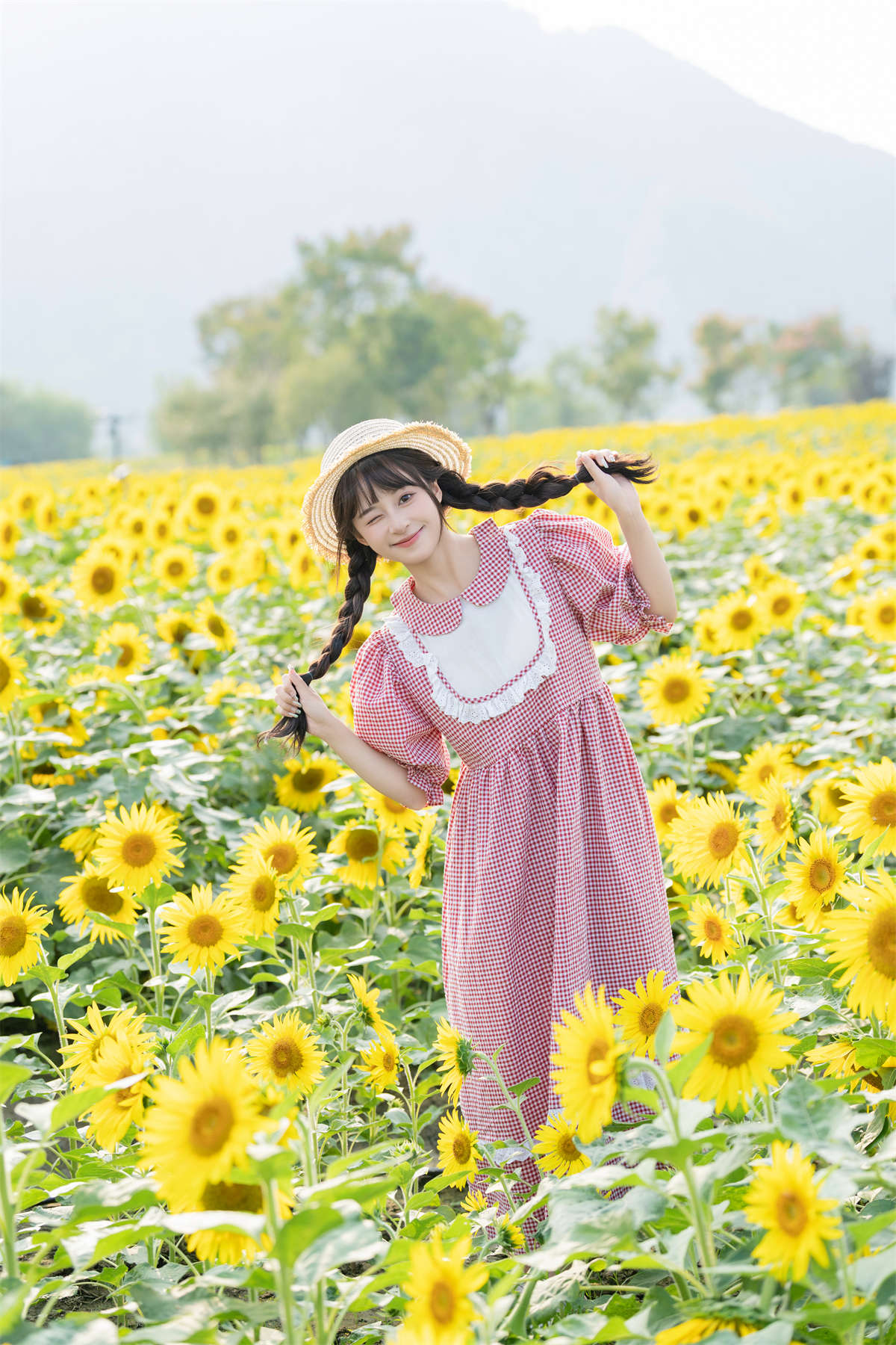 YITUYU艺图语 2025.02.18 向日葵 夏芋小年插图1