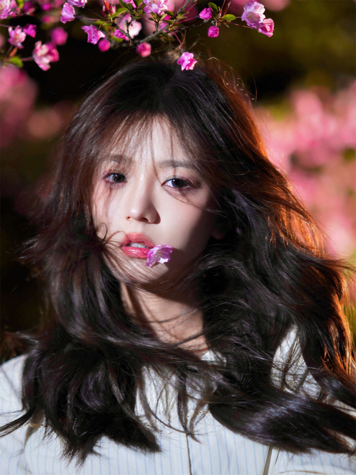 YITUYU艺图语 2025.02.11 海棠花开 Enndme插图1