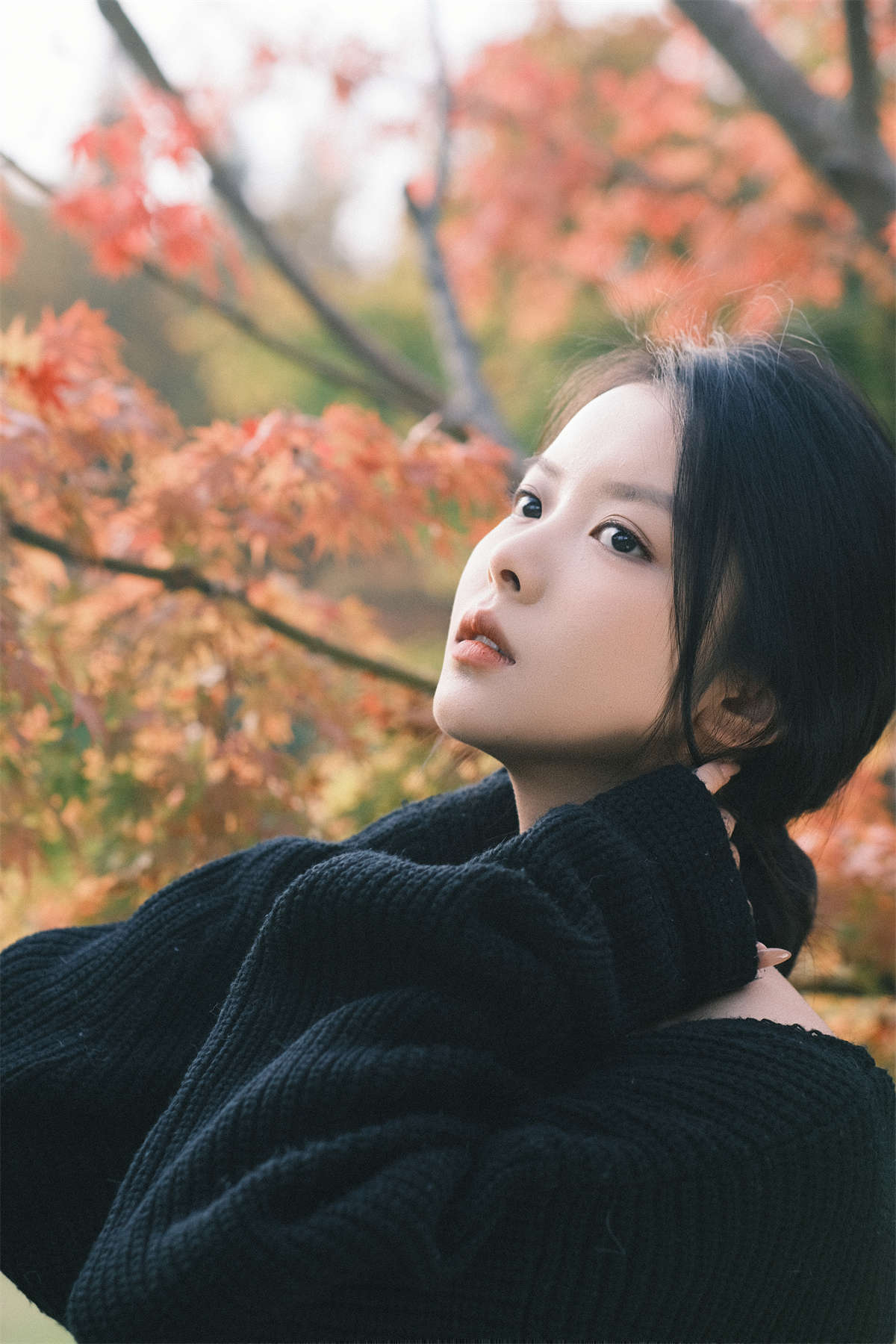 YITUYU艺图语 2025.02.23 秋枫 雪雪插图1