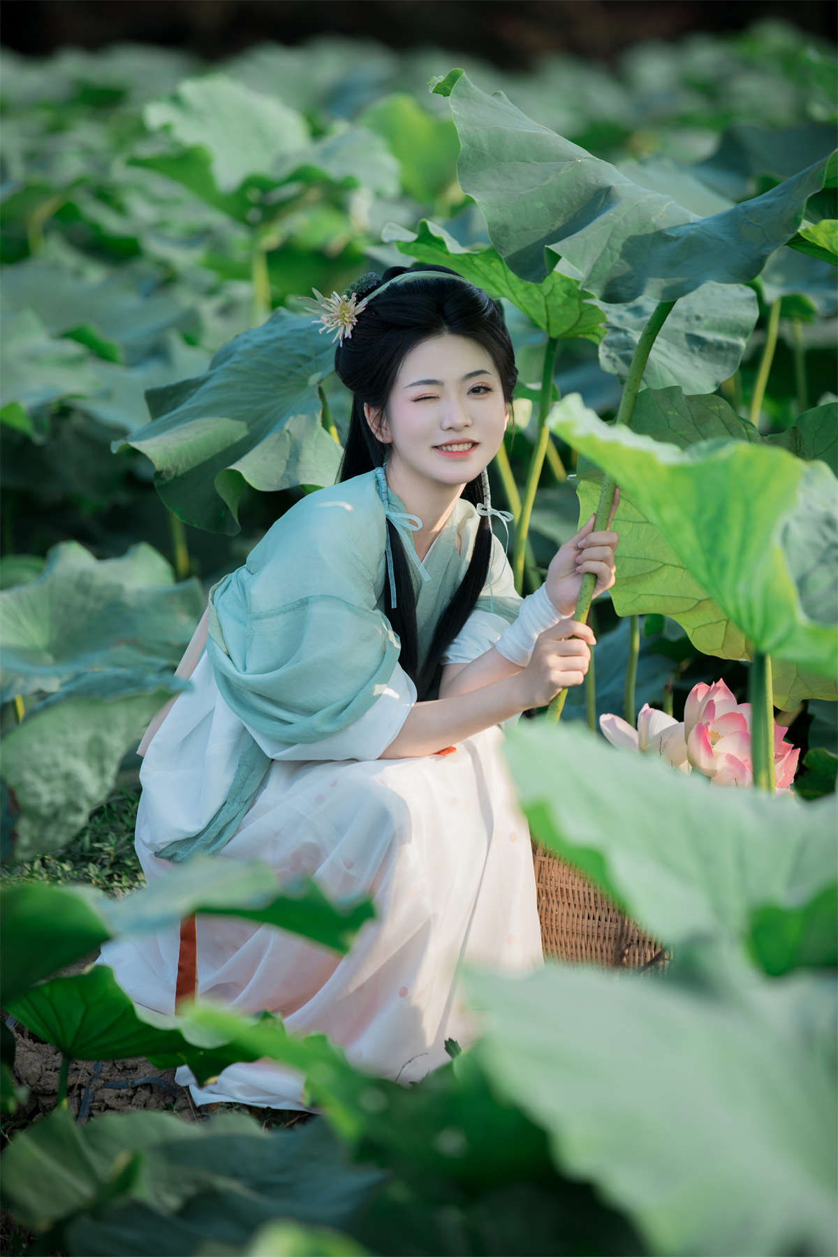 YITUYU艺图语 2024.07.28 采荷 小薯片儿插图1