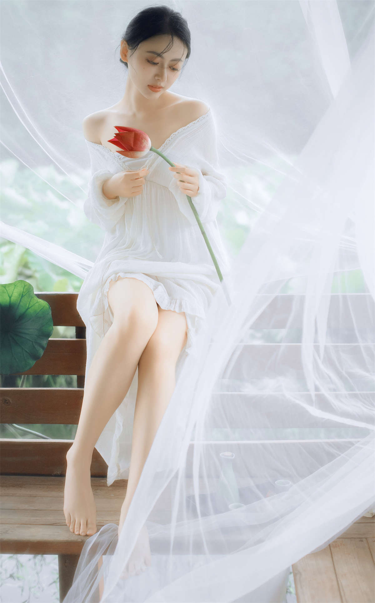 YITUYU艺图语 2024.09.28 荷塘梦·相思 是昂羊呀插图1