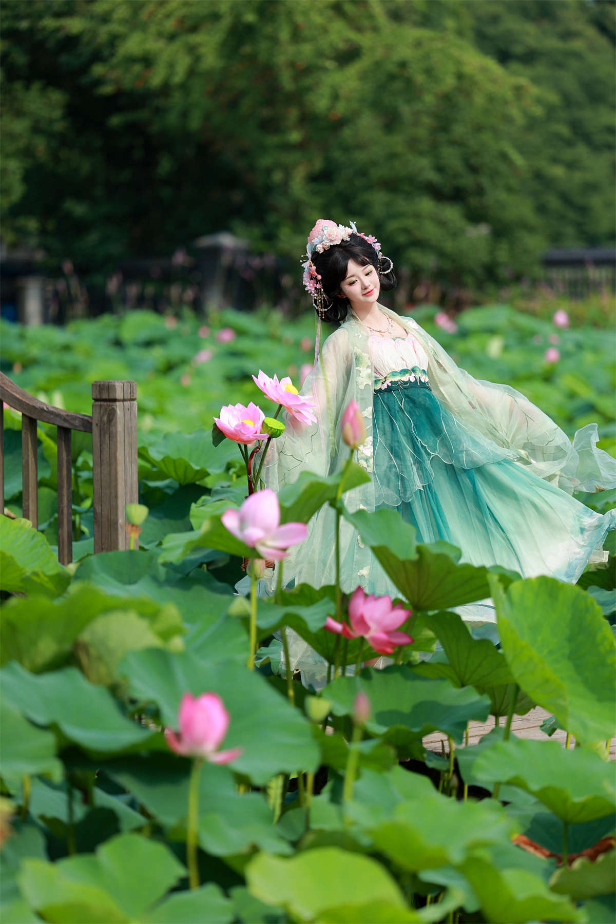 YITUYU艺图语 2024.09.11 十里芙蕖 不可爱的禾禾喵插图1