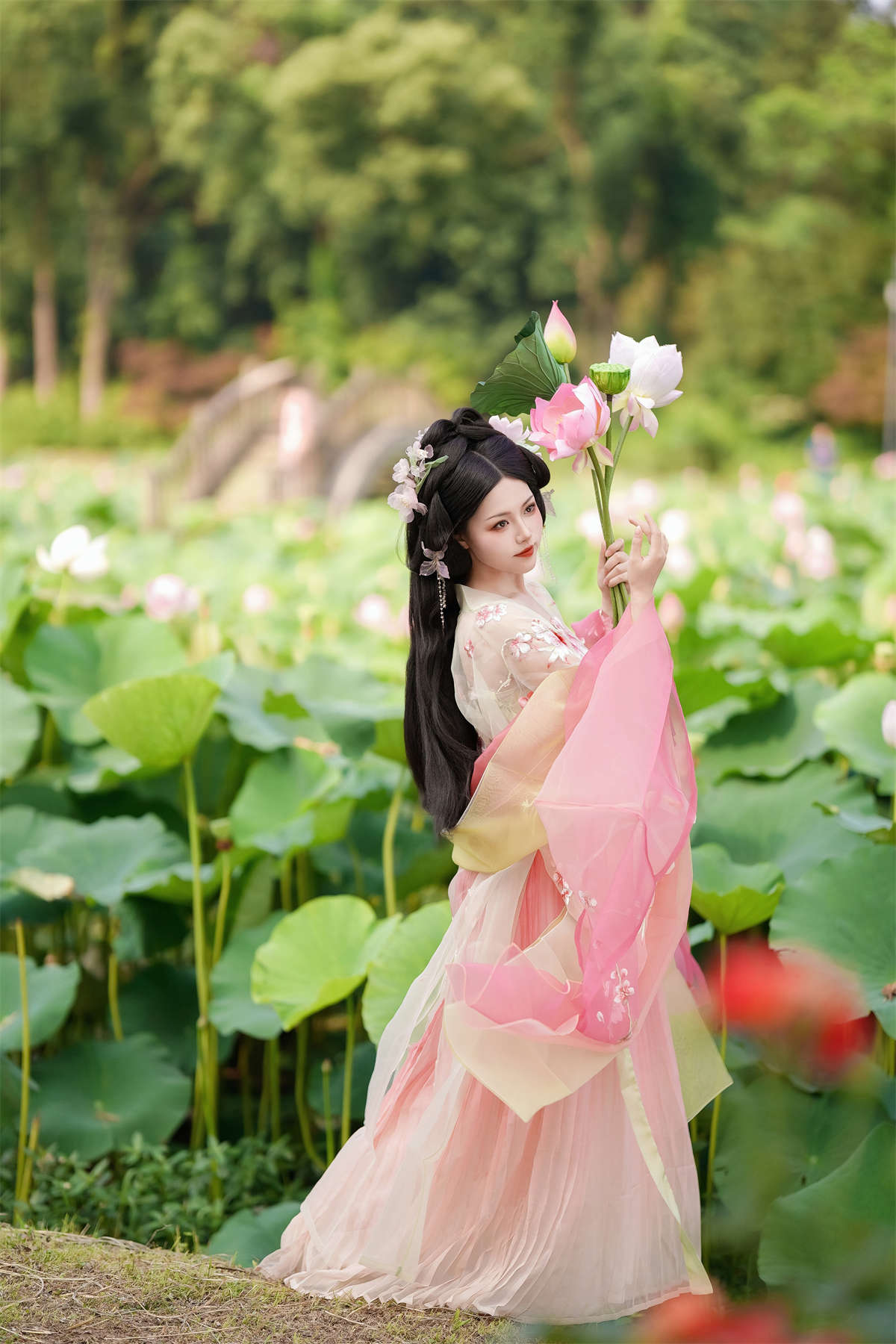 YITUYU艺图语 2024.09.11 误入藕花深处 魚小鯉lili插图1