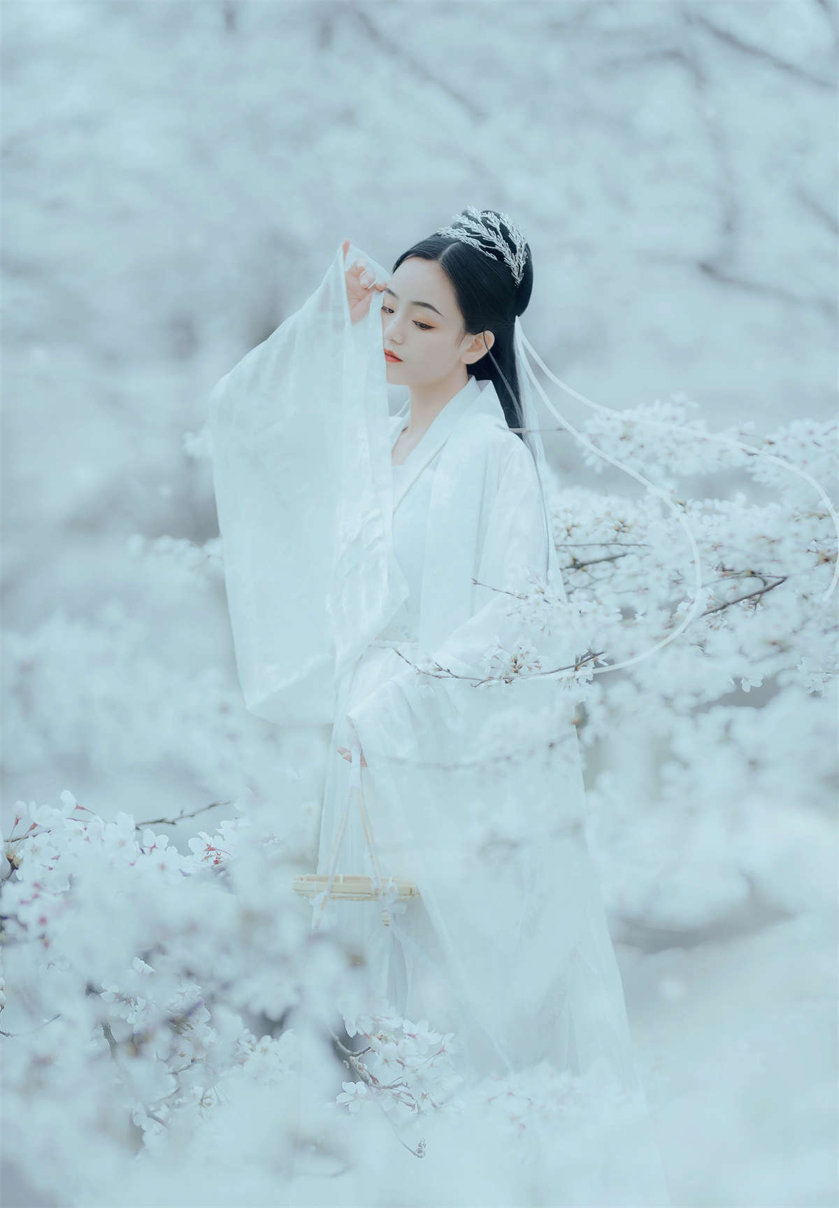 YITUYU艺图语 2022.12.06 樱吹雪 穆婕插图1