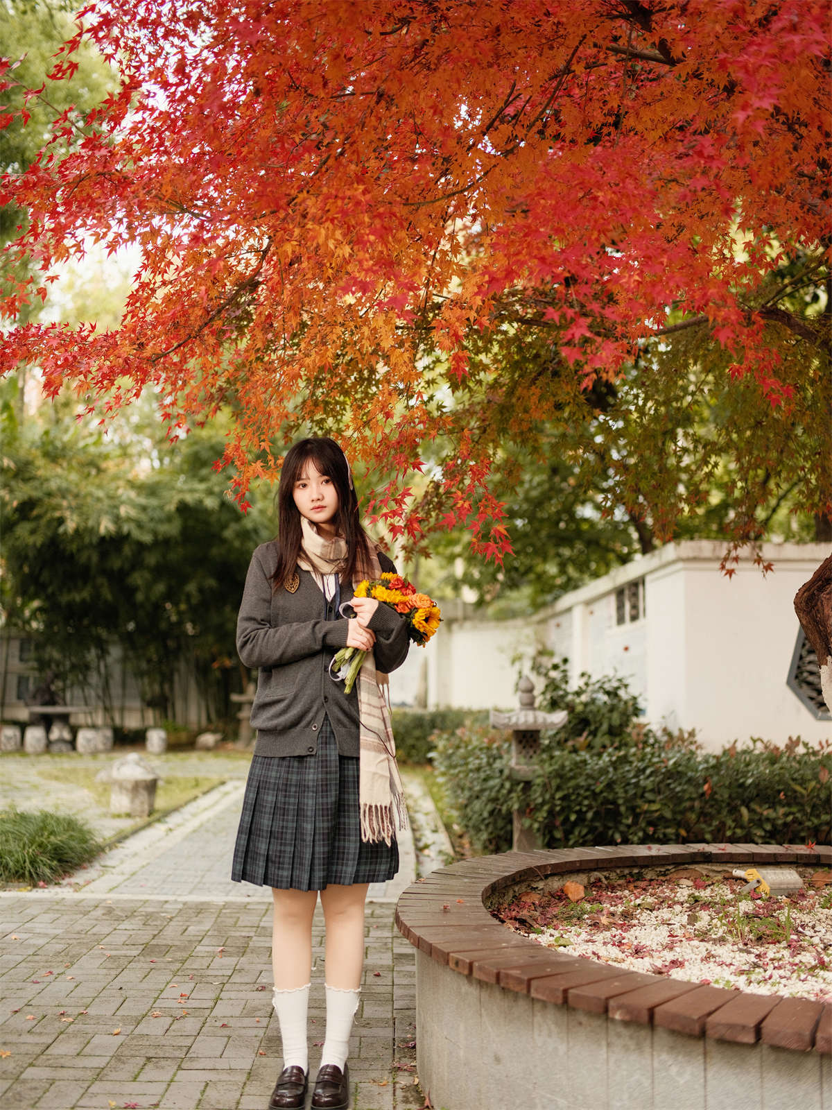 YITUYU艺图语 2025.02.21 枫叶醉人颜 不许翘二郎腿插图1